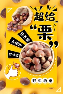 板栗海报 野生板栗
