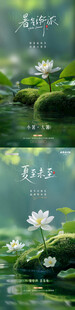 夏至小暑荷花风景海报