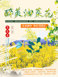 醉美油菜花节花海踏青文化节海报