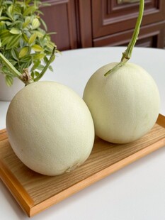 玉菇香瓜