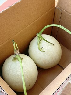 玉菇香瓜