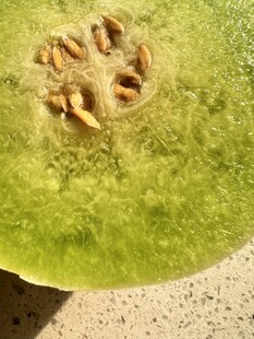 玉菇甜瓜