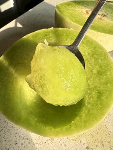 玉菇甜瓜