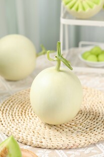 玉菇甜瓜