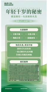 墨盛日集广告