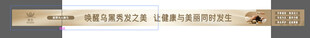 墨盛日集 灯箱4
