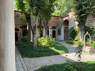 庭院绿植环绕的静谧场景