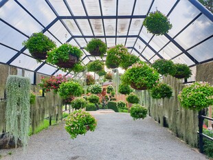 温室绿植长廊景观