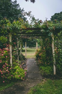 花园藤架小径美景