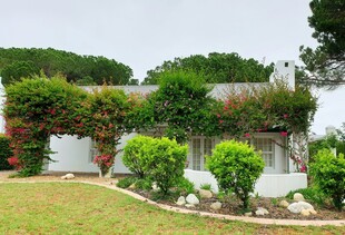 庭院绿植环绕的白色建筑