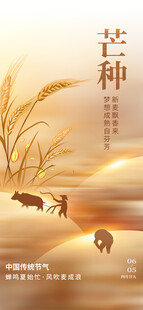 芒种海报