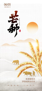 芒种             