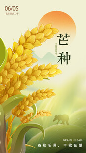 芒种             
