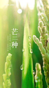 芒种             