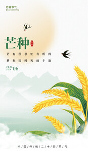 芒种             
