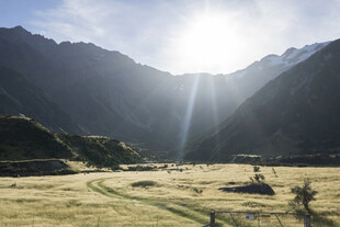 山间晨光下的开阔草地