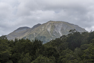 山峦叠翠间的自然美景