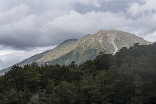 云雾缭绕下的葱郁山峰