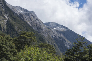 巍峨山峦与葱郁林木景观