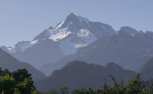 巍峨雪山映于葱郁山林