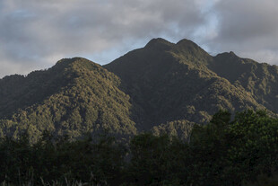 壮丽山峦与葱郁植被