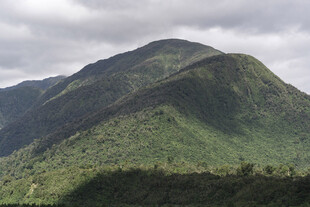 翠绿山峦