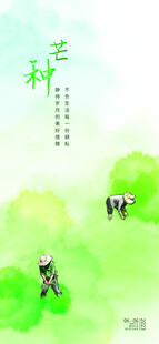 芒种海报