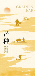 芒种海报