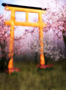日式鸟居与烂漫樱花