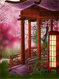 古风亭畔烂漫樱花景致