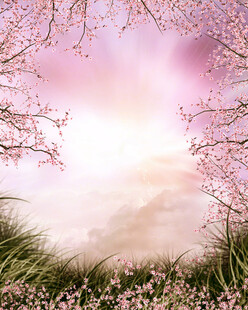 梦幻春日樱花草地美景