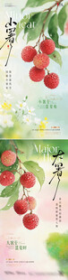 小暑大暑荔枝花卉清新海报