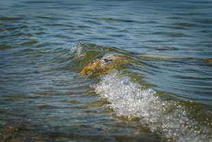 海浪翻涌的清澈水面