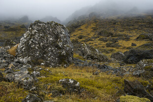雾中嶙峋岩石与山间草地