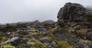 山间嶙峋岩石与苔藓景观