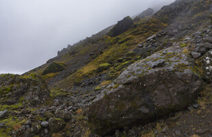山间嶙峋岩石与葱郁植被
