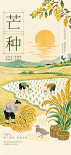 芒种 