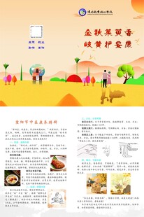 中医养生 社区科普宣传页展示