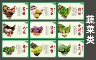 蔬菜展板