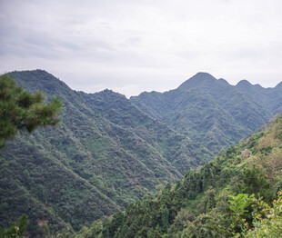 青山叠翠的秀丽山间景色