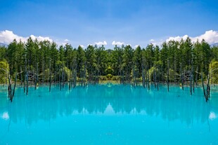 梦幻蓝湖森林环抱奇景