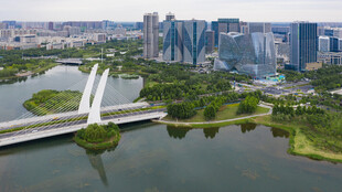 城市河畔桥梁与现代建筑群