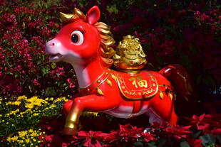 喜庆小马花灯