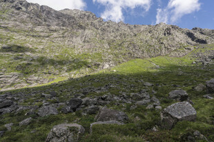 山间草地与岩石景观