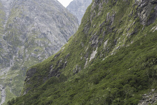 山间葱郁绿意的壮丽景致
