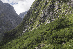 山间绿意盎然的壮丽景色