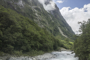 山间溪流旁的壮丽自然景观