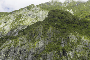 巍峨青山绿意浓