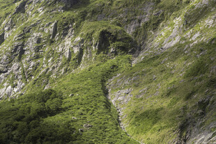 山间翠绿峭壁景观