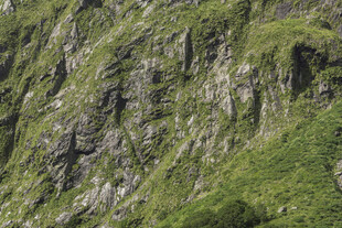翠绿山崖下的嶙峋岩石
